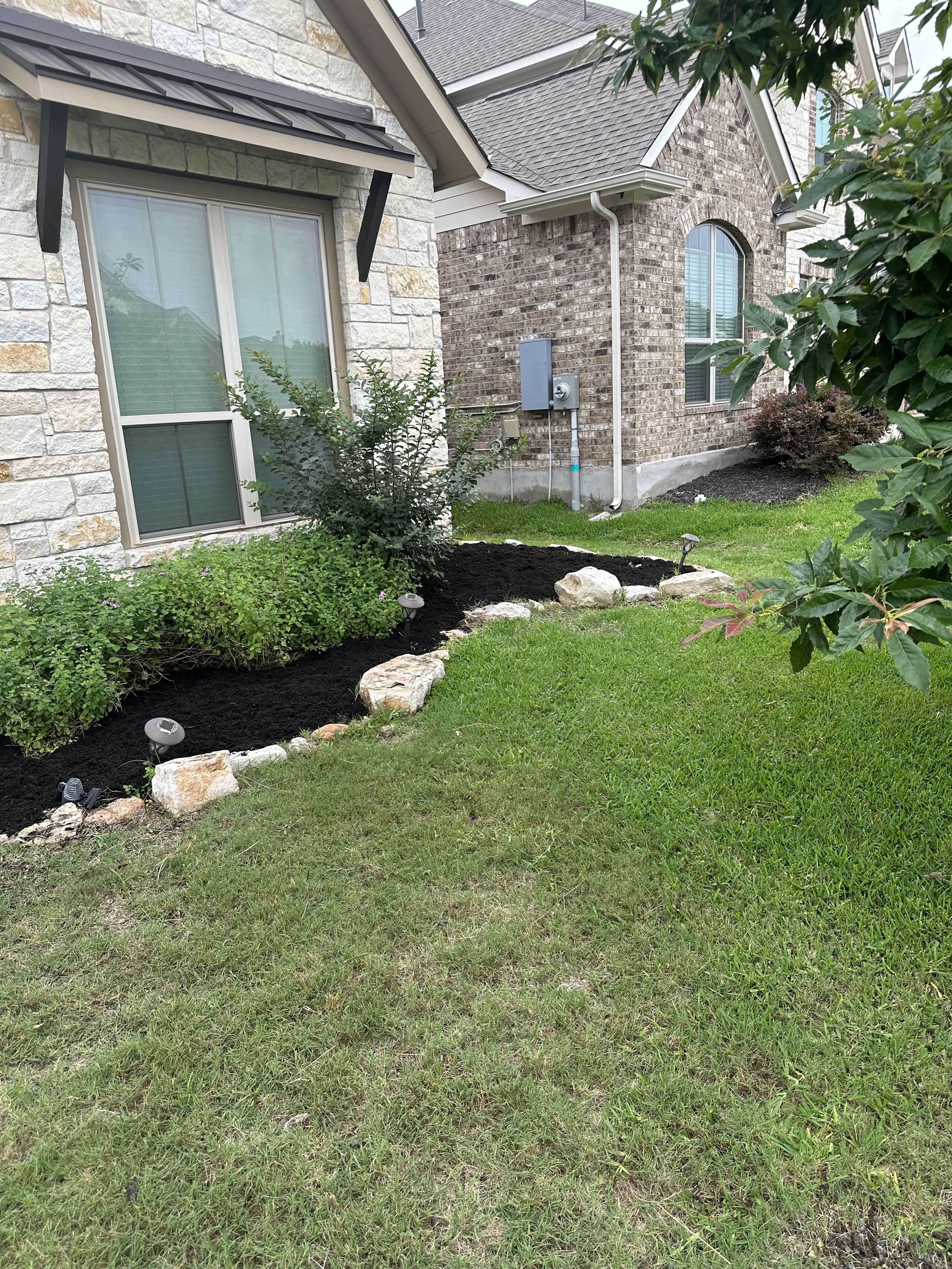 After - A layer of black mulch adds bold contrast and a polished finish, making your plants pop and your yard look sharp and well-maintained.