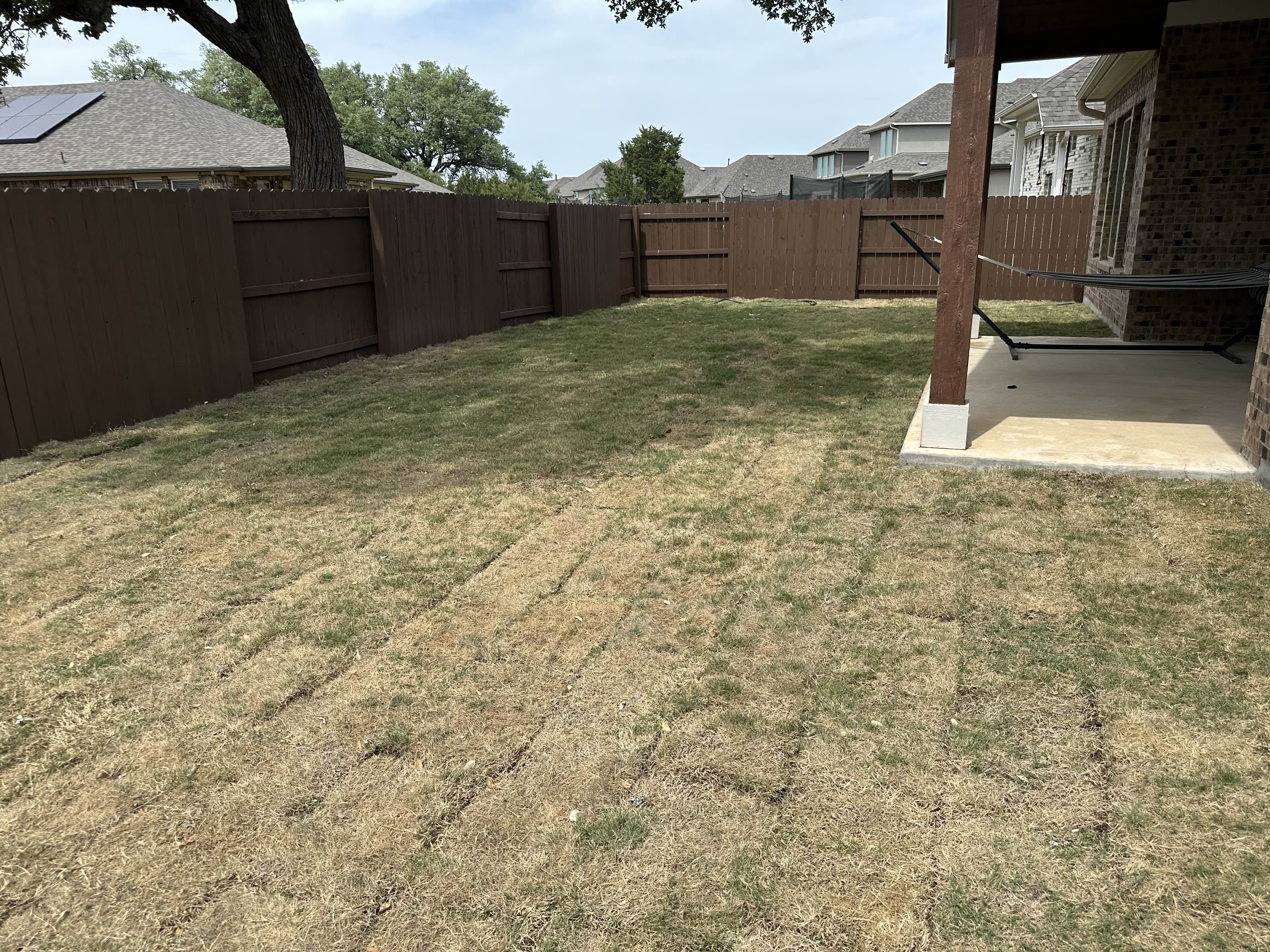 After - This backyard was resodded to replace patchy, dying grass with fresh turf.