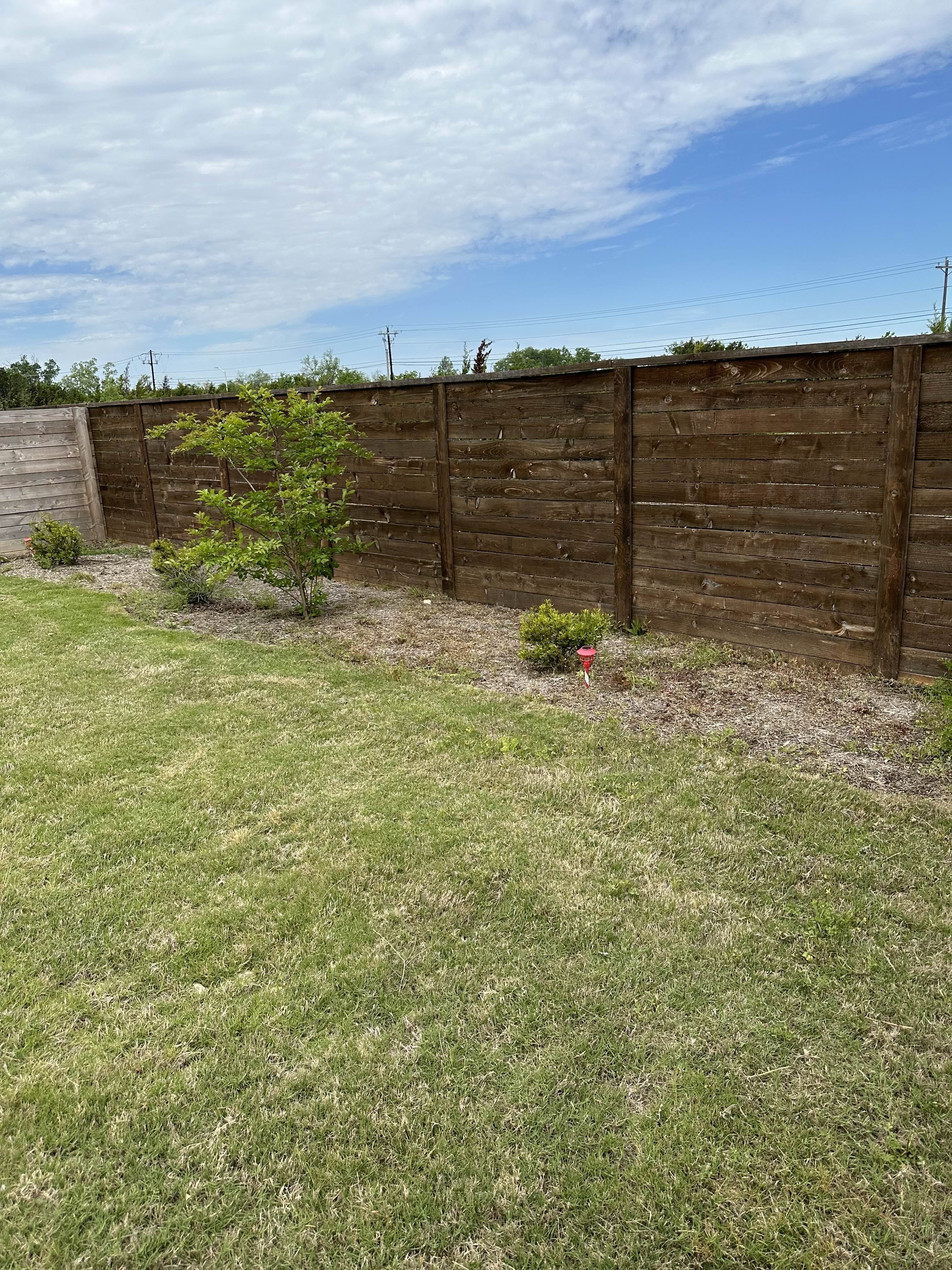 Before - Just a touch of brown mulch can instantly elevate your yard, adding rich contrast and a clean, well-kept look to any landscape.