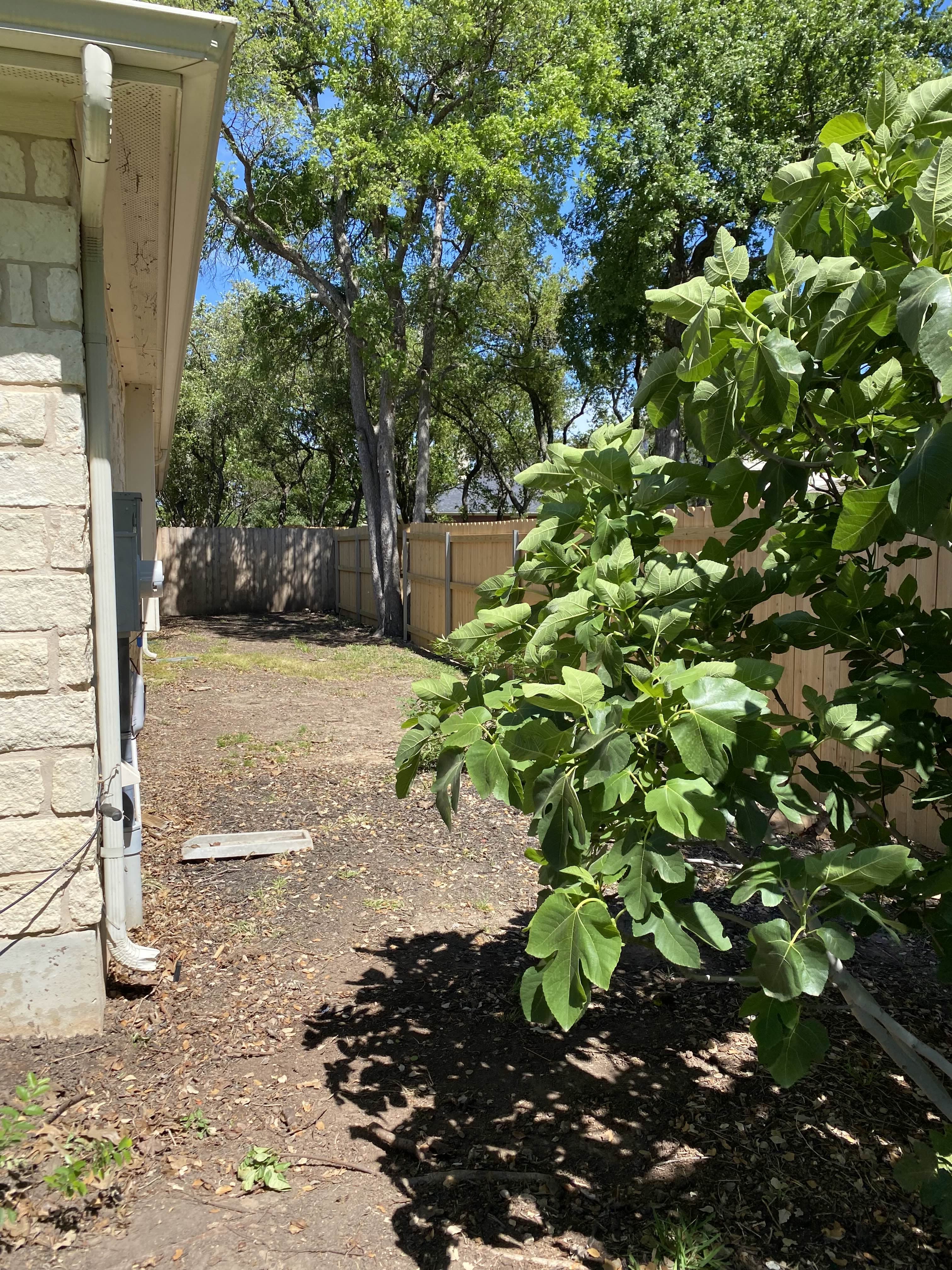 Before - What was once a bare, unused side yard is now a clean, inviting garden path — complete with fresh brown mulch, native plants, and natural stone stepping stones for a polished, functional upgrade.