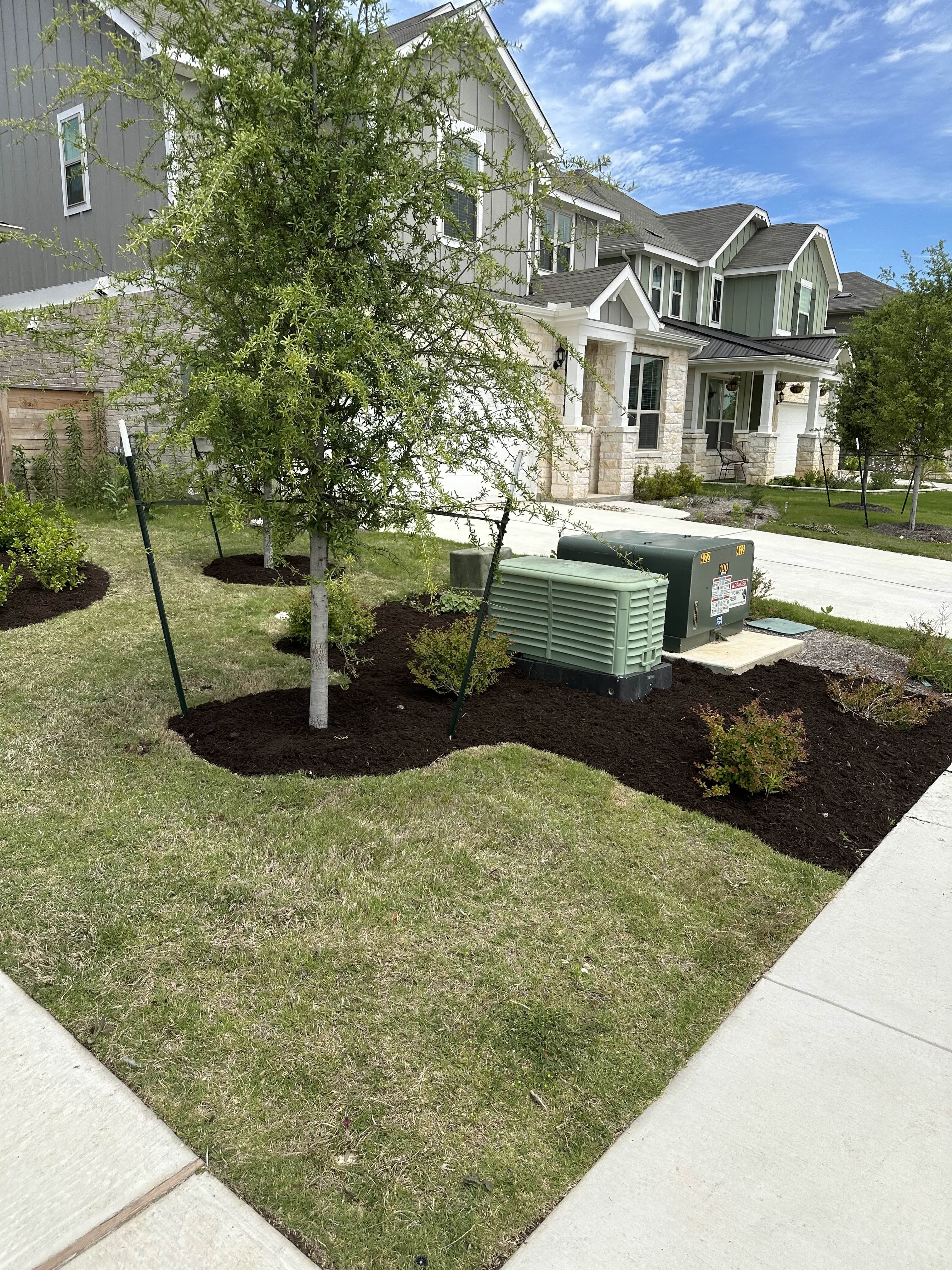 After - Mulch