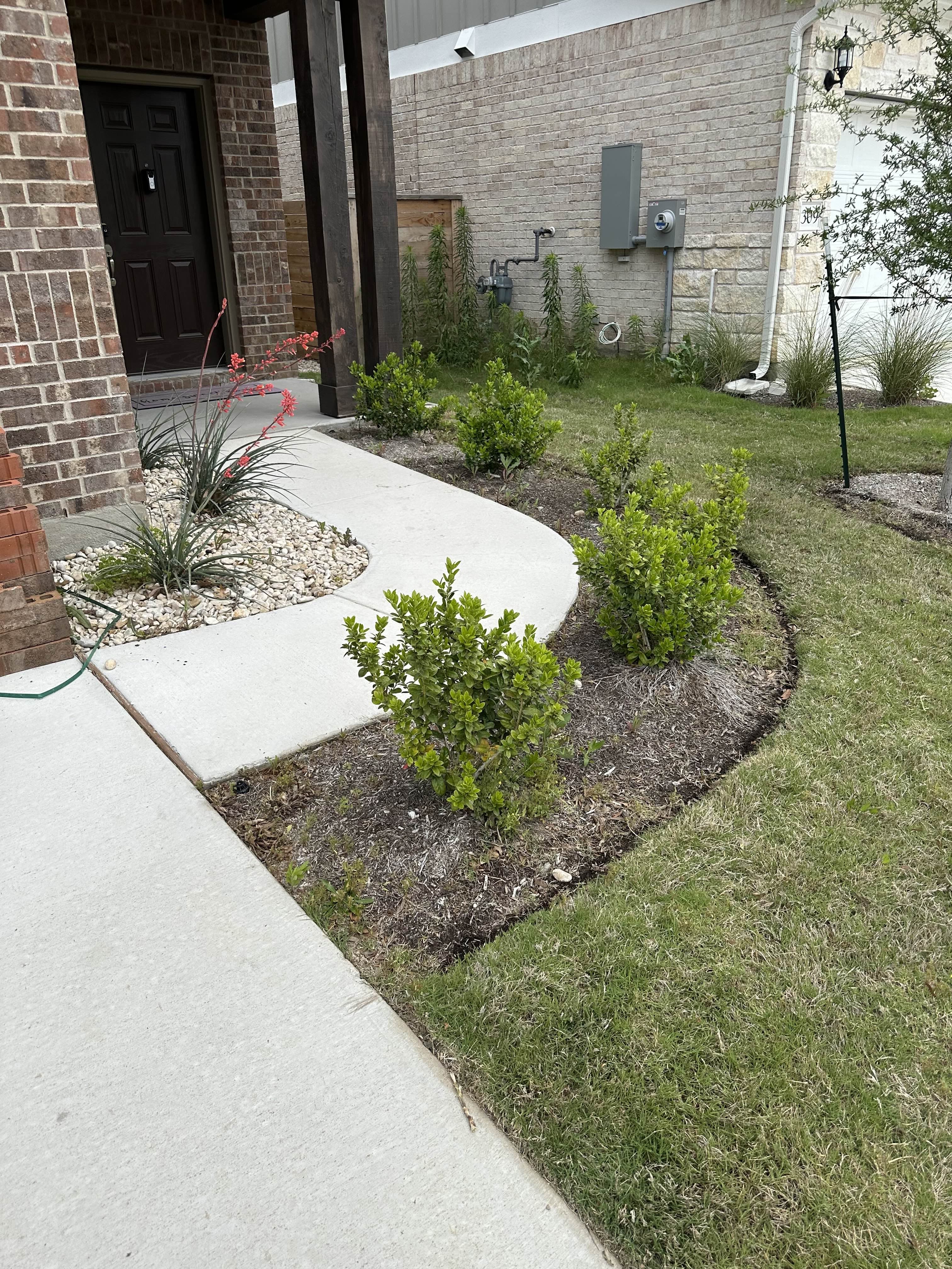 Before - Mulch