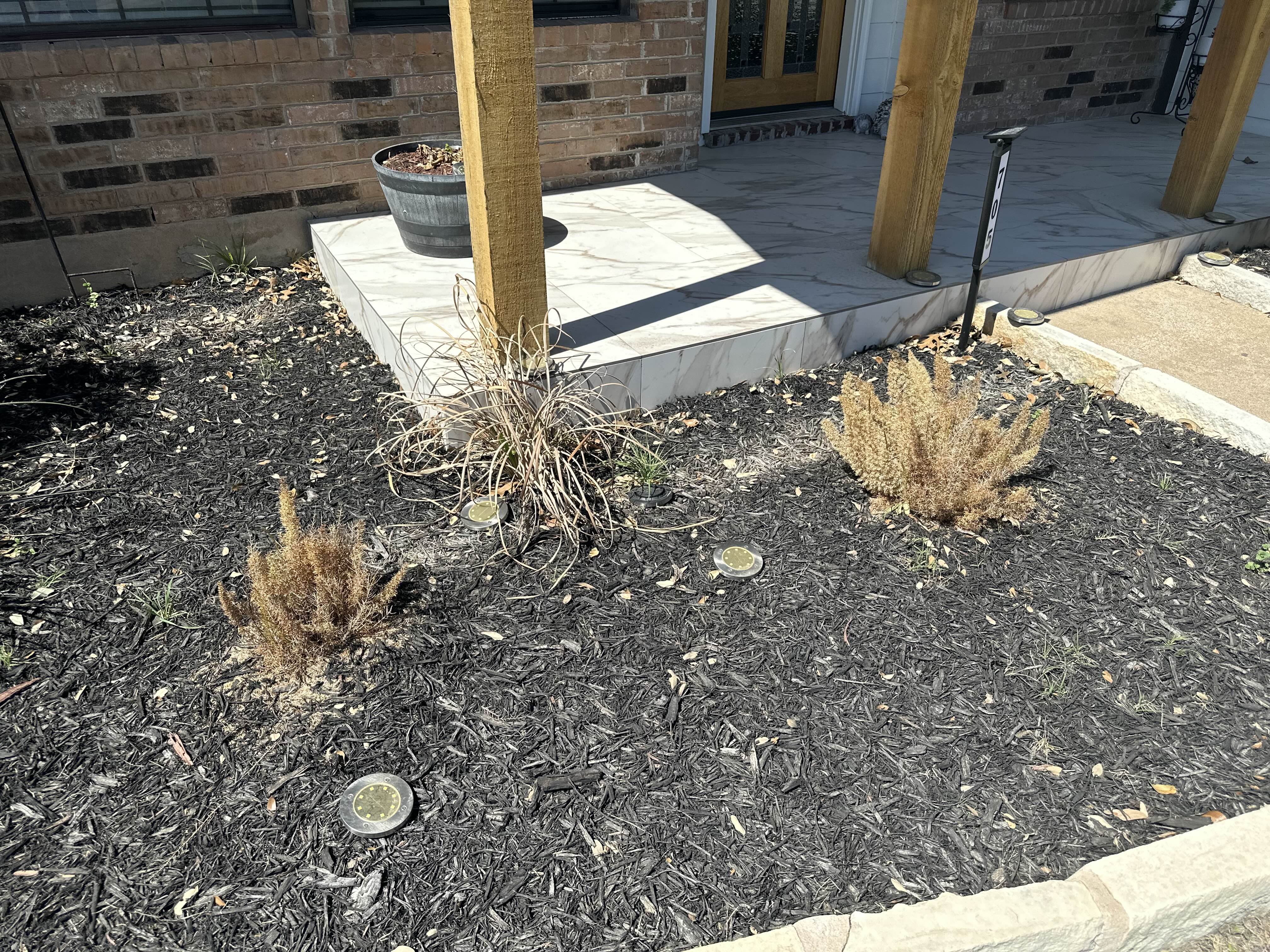 Before - Mulch